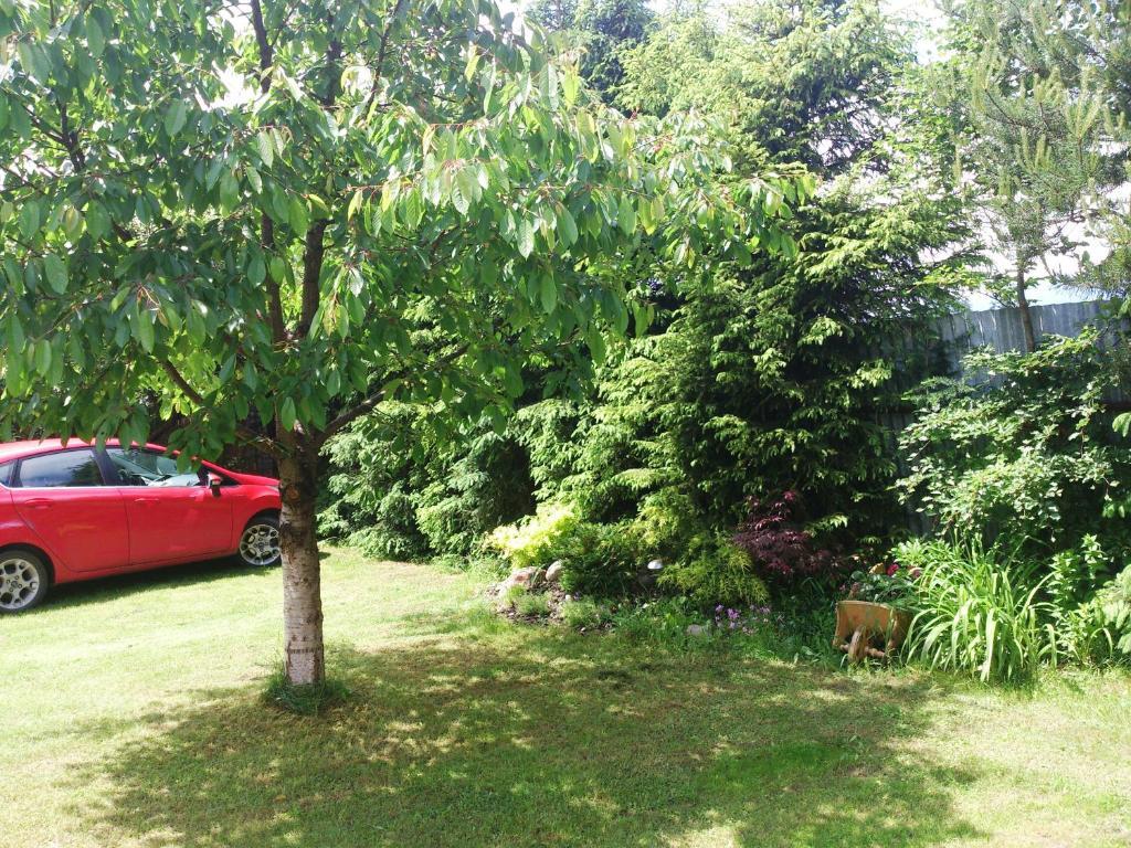 Sunnystreet Guesthouse Stará Lesná Zewnętrze zdjęcie