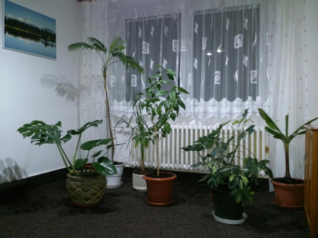 Sunnystreet Guesthouse Stará Lesná Zewnętrze zdjęcie